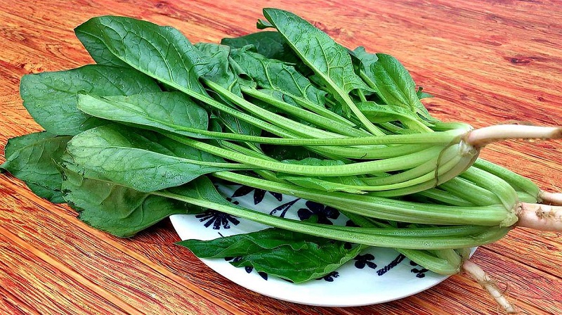 10大补肾的最佳蔬菜类食物