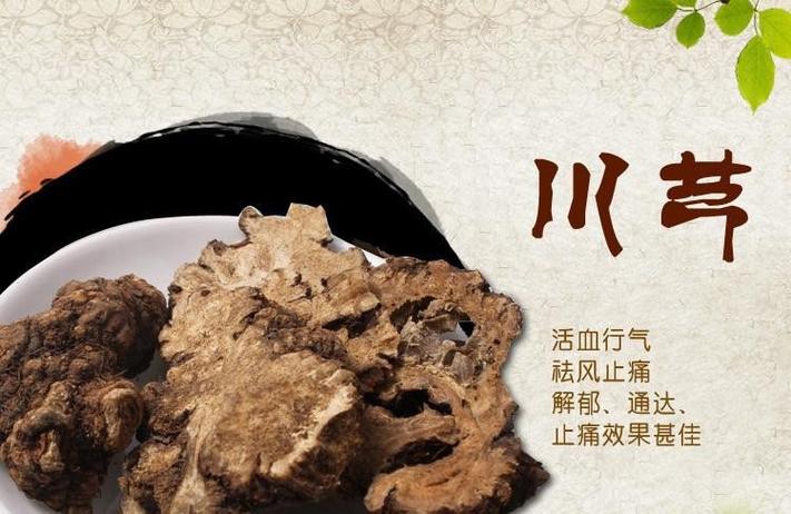 川芎的功效与作用 川芎的功效与作用主要治什么病