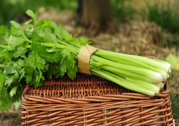 ʮ�ֹ���ʳ��Խ��Խ�� ����ʳ��Խ��Խ�ݵ��߲�����Щ