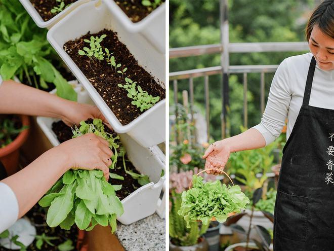 补肾壮阳秘方偏方大全 补肾壮阳秘方偏方大全