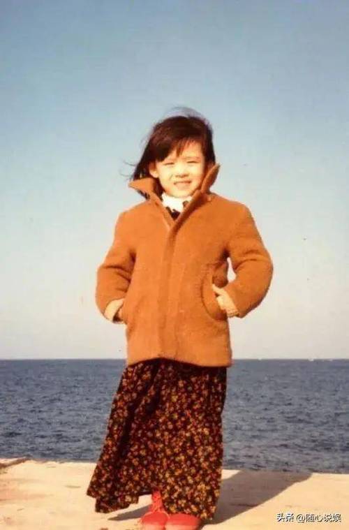 ��������й��������