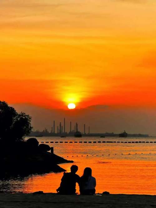 什么炖水鱼补肾壮阳效果好 什么炖水鱼补肾壮阳效果好