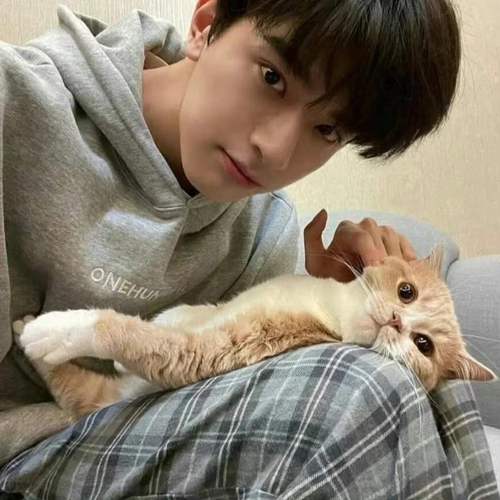 ���������ή��ҽ����