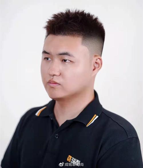 猪肚补肾壮阳是真的吗 猪肚补肾壮阳是真的吗