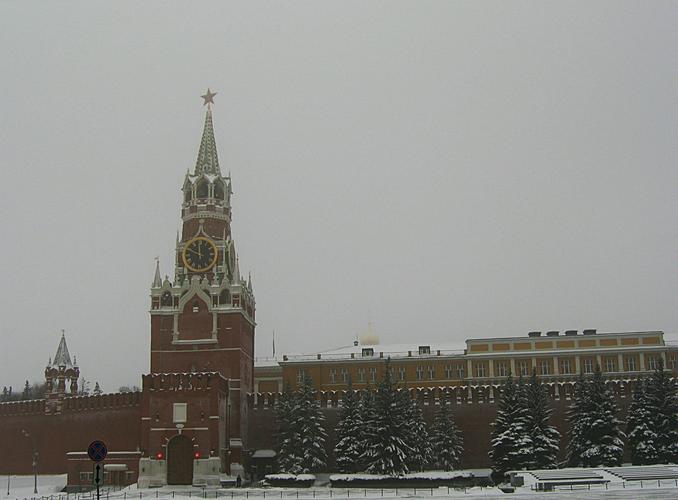 治疗阳萎的中草药大全 治疗阳萎的中草药大全