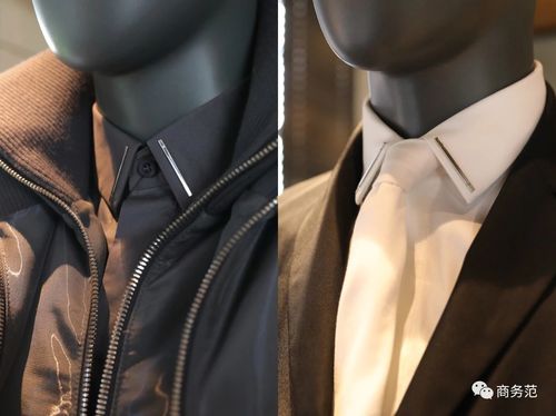 �����Խ��������׳��