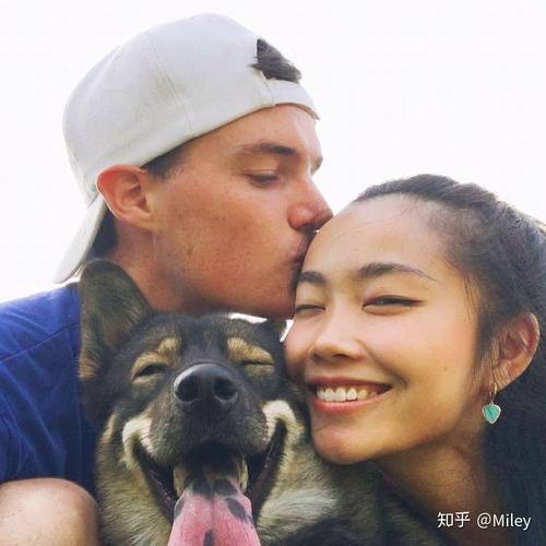 ����������ή�ĵ��� ����������ή�ĵ�������Щ