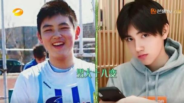 ��̼�������ܵ�����ή��