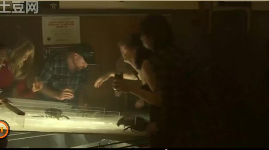 茶山泡白酒能壮阳吗 茶山泡白酒能壮阳吗是真的吗 茶山泡白酒能壮阳吗 茶山泡白酒能壮阳吗是真的吗