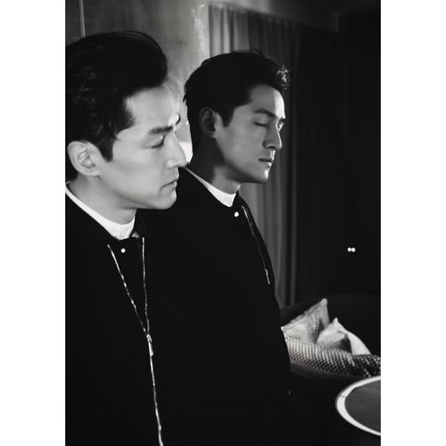 壮阳槟什么皮 槟榔有壮阳的功效吗 壮阳槟什么皮 槟榔有壮阳的功效吗