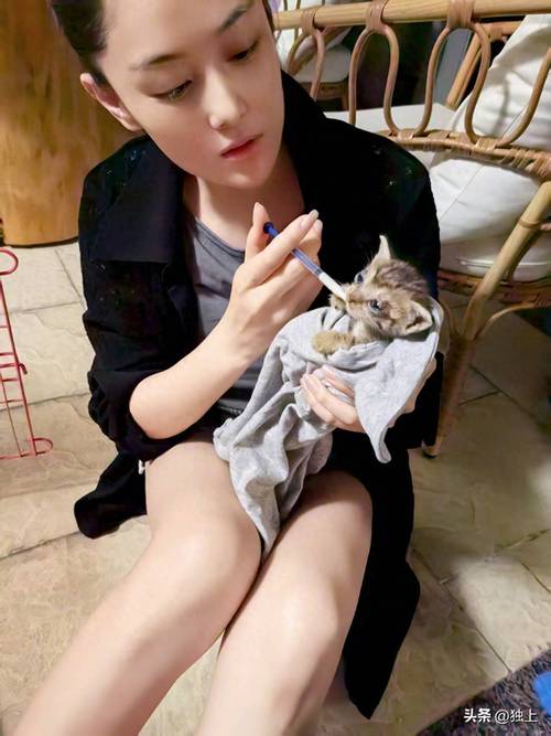 肾虚会硬度不够吗(肾虚会不会导致硬度不够) 肾虚会硬度不够吗(肾虚会不会导致硬度不够)