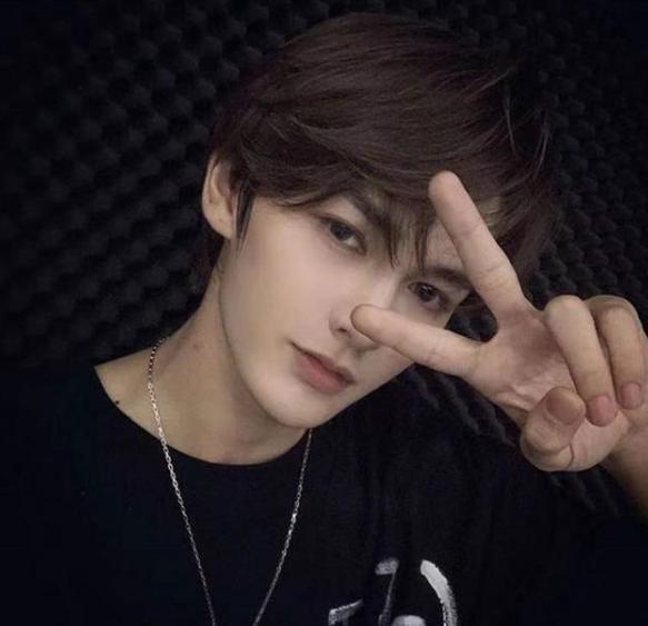 西洋参的功效与作用及营养西阳参(西洋参粉的功效与作用) 西洋参的功效与作用及营养西阳参(西洋参粉的功效与作用)