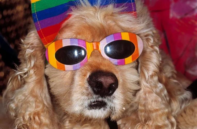 十大高嘌呤蔬菜(重磅揭秘 这些蔬菜含高嘌呤 你必须知道) 十大高嘌呤蔬菜(重磅揭秘 这些蔬菜含高嘌呤 你必须知道)