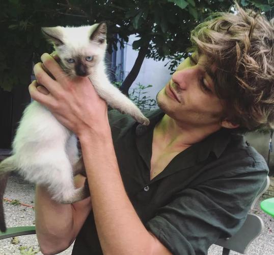 金戈治阳萎效果怎么样 金戈治阳萎效果怎么样