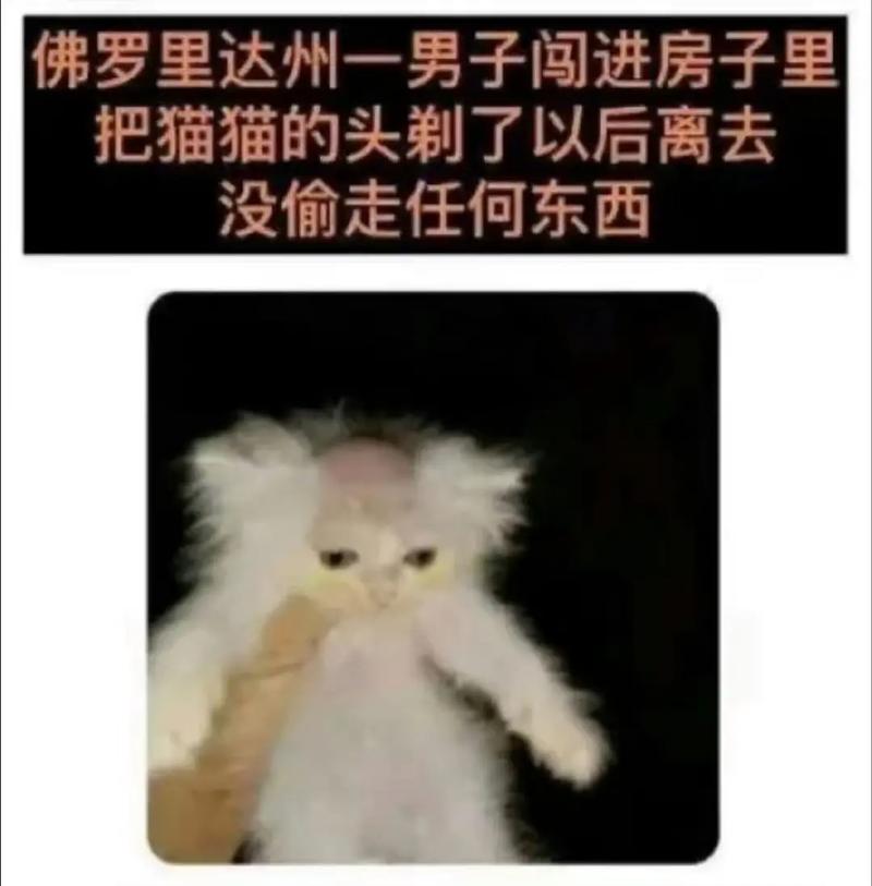 壮阳补肾用什么泡酒好多少克(壮阳补肾用什么药泡酒好) 壮阳补肾用什么泡酒好多少克(壮阳补肾用什么药泡酒好)