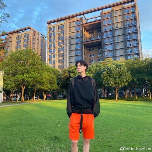 ��ţ�������׳��(����ţ���ᾫ����ʢ��)