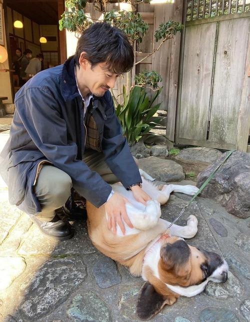 ��ʮ��������β���׳��(�������Ի��� ��β���׳�� )