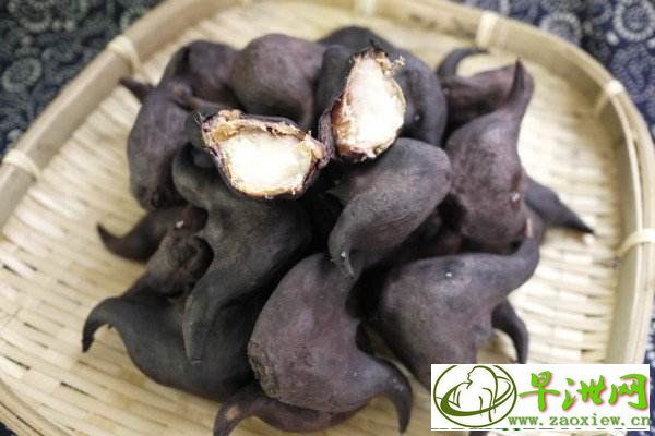 长沙哪里中药治疗早泄 长沙哪里中药治疗早泄