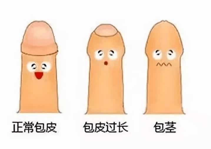 吃活珠子能壮阳吃活珠子可以补肾吗 吃活珠子能壮阳吃活珠子可以补肾吗