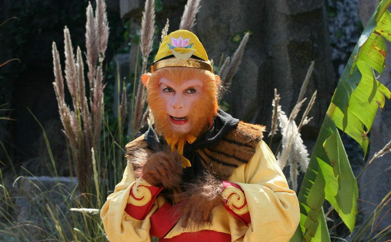 Ȩ����й����� Ȩ�� zgl