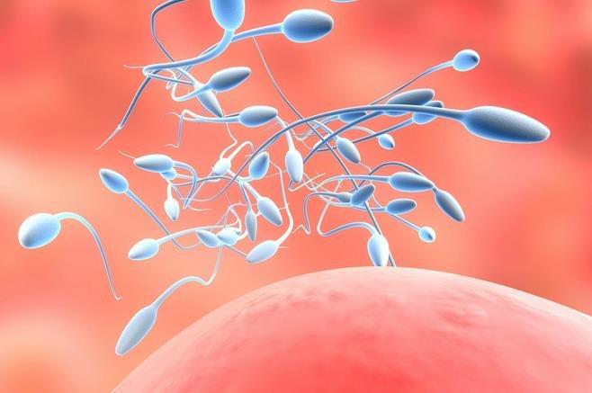 肝肾引起的早泄 肝肾出现问题怎么治疗 肝肾引起的早泄 肝肾出现问题怎么治疗