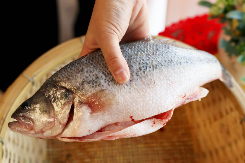 ����׳���Ƶ�������˭��(˭������������׳�������� )