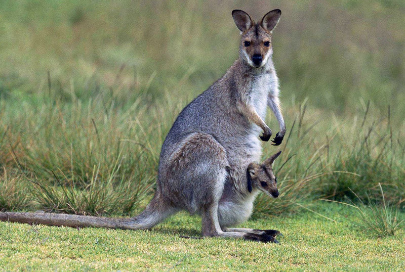 ���㶹��׳���� ���㶹����˭ϲ����