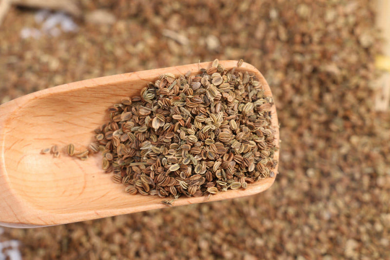 17�����й���κ���