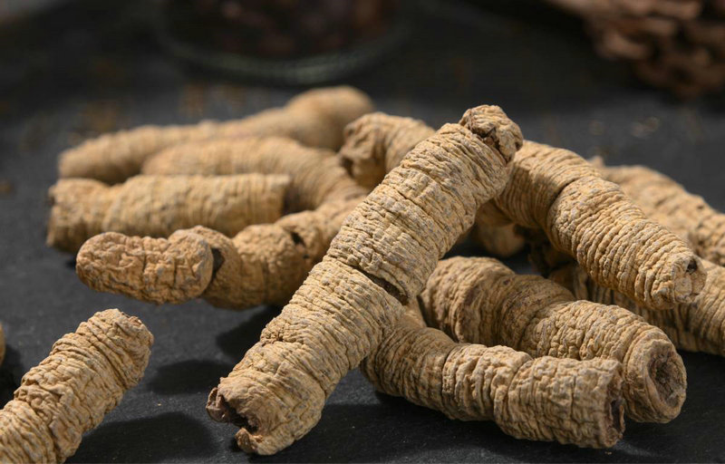 刺猬皮治早泄 刺猬皮治疗遗精效果好吗 刺猬皮治早泄 刺猬皮治疗遗精效果好吗