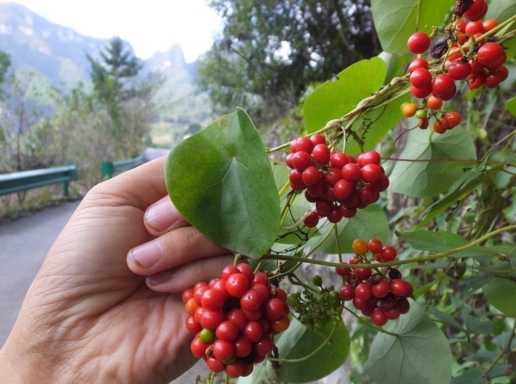 早泄手疗法图解是怎样的 建议这样治疗早泄 早泄手疗法图解是怎样的 建议这样治疗早泄