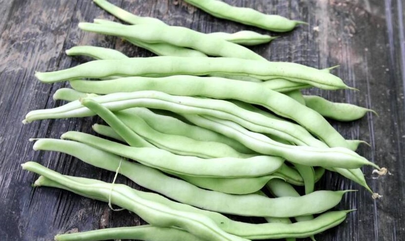 北京哪个医院治疗阳萎好 北京哪个医院治疗阳萎好