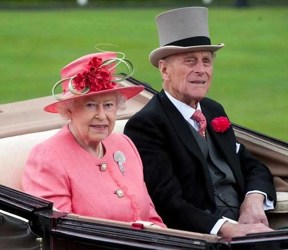 ��ή�ľ��ӻ���Ӱ����