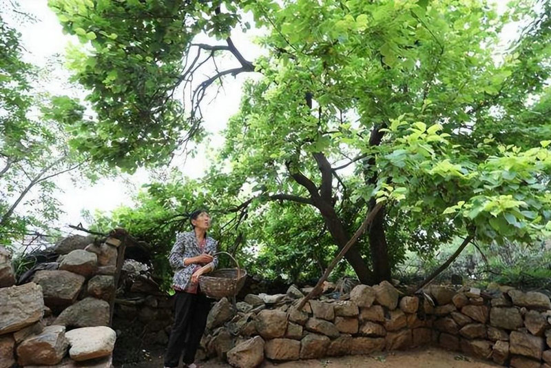 淄博治早泄要多少费用 淄博治早泄要多少费用