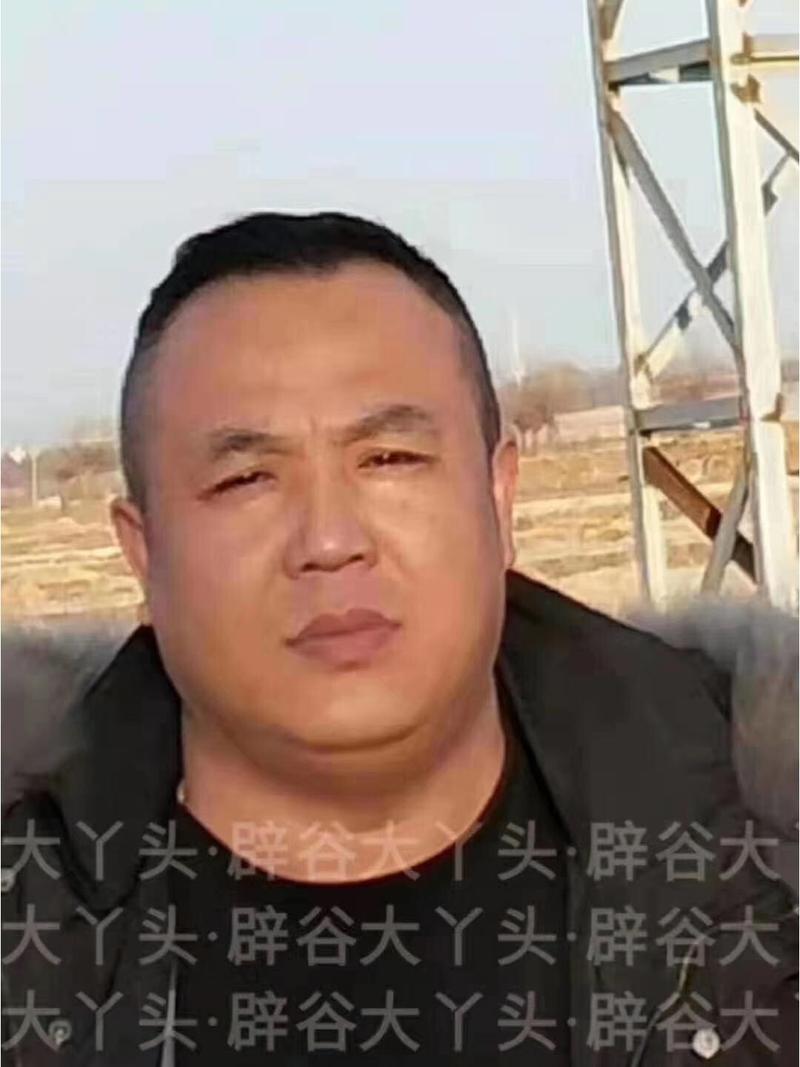 补肾壮阳治阳萎早泄的代茶饮 补肾壮阳治阳萎早泄的代茶饮