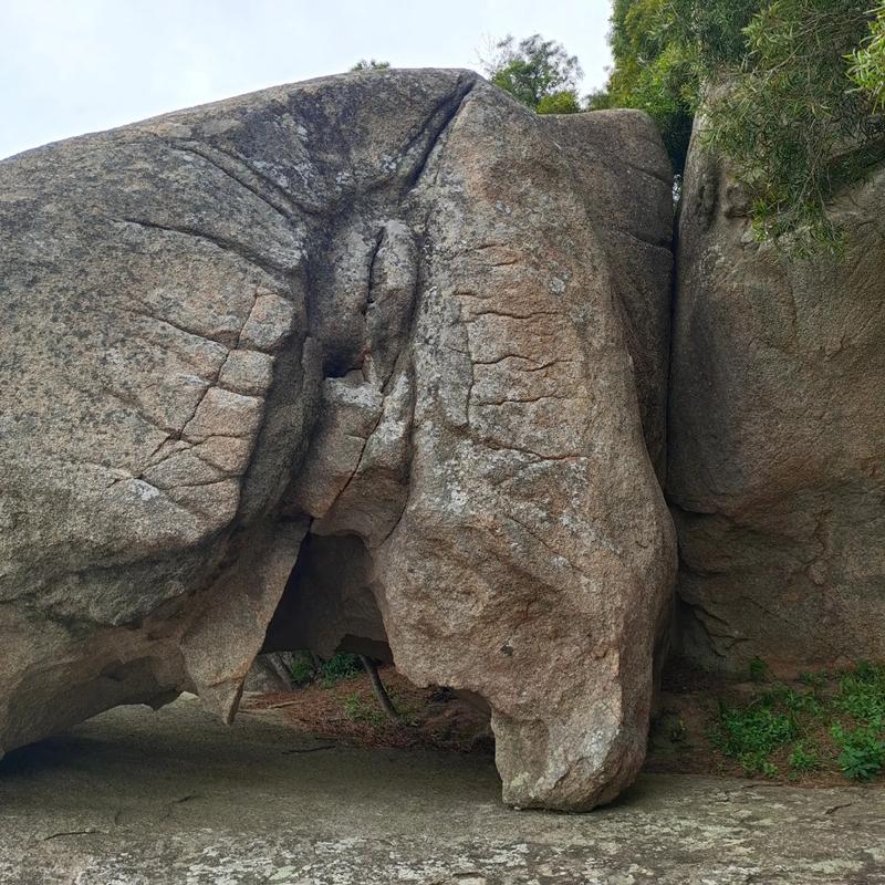 ήлЩҩ6 ұήлЧҩ