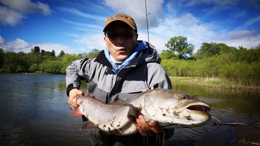 治疗多年阳萎的中成药有哪些 治疗多年阳萎的中成药有哪些