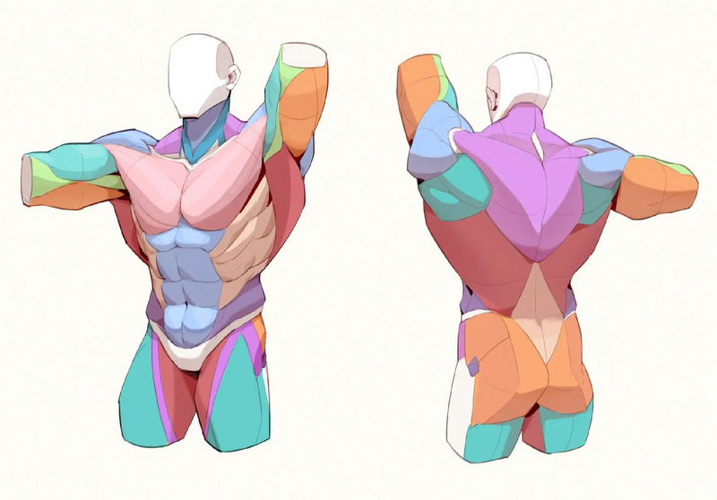 吃了壮阳的鸟壮阳吃了会不会伤身体 吃了壮阳的鸟壮阳吃了会不会伤身体