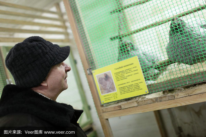 中药调理能治好早泄吗 中药调理能治好早泄吗