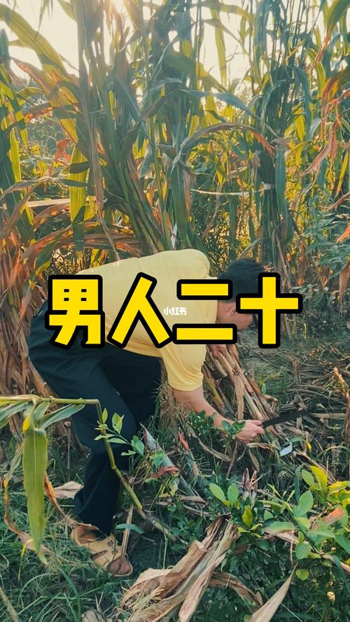 硬度不够中途变软怎么办(硬度不够中途疲软是什么原因引起的) 硬度不够中途变软怎么办(硬度不够中途疲软是什么原因引起的)