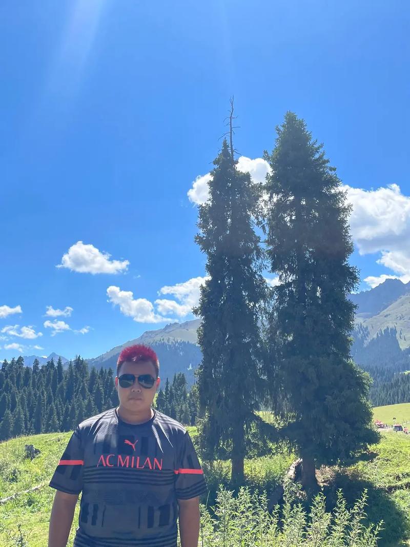 ������й����ζ�ػ��������