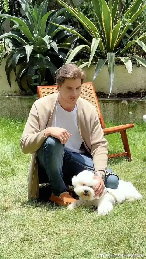 乌鸡配什么可以壮阳补肾 乌鸡配什么可以壮阳补肾